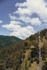 A breathtaking panoramic view from the Herzogstand summit in the Bavarian Alps, overlooking the...