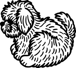 Naklejka premium Fluffy small dog illustration cute shaggy puppy, sitting furry pet, black and white drawing, adorable animal art