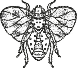 Pointillism insect illustration detailed black dotted cicada drawing with wings, symmetrical bug design, stippling art