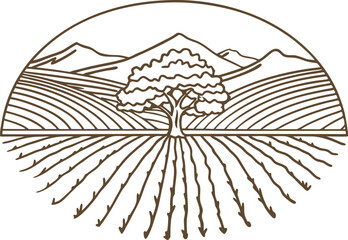 Fototapeta premium Vineyard and tree with mountains linear illustration of rural farmland, agriculture landscape, nature scenery