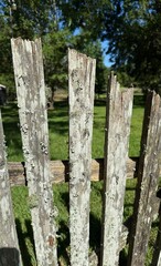 old wooden fence with moss