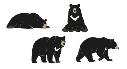 Naklejka premium Asian black bear in different poses on a white background - Concept of Animals in different poses 
