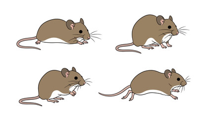 Illustrated brown mouse in different poses on a white background  