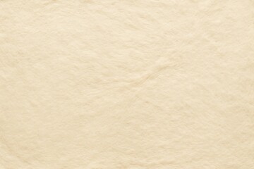 Uncooked Pastry Dough Ready for Baking