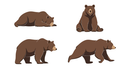 Fototapeta premium Four Ussuri brown bears in different poses and actions 