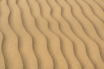 Fototapeta premium Close-up of sandy shoreline with textured dunes and gentle waves, tropical scenery background