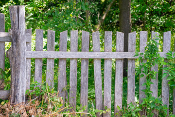 old wooden fence and green grass