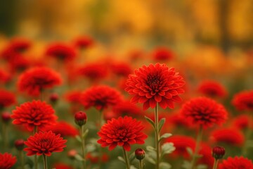 Autumn scene featuring vibrant red blossoms