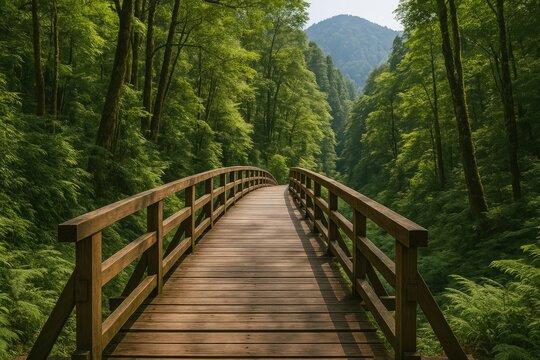 Historic wooden pathway through a forest, once a traditional hunting route of indigenous tribes, later converted into a railway for timber transport.
