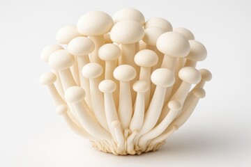 White Shimeji Mushrooms Varieties Displayed on a Plain Background