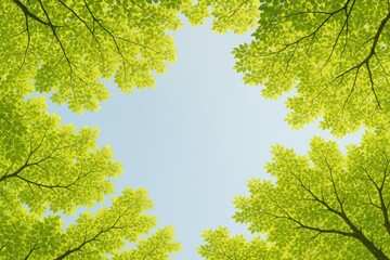 Tree branches and foliage filling the sky