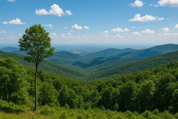 Fototapeta premium Exploring the Wilderness of Shenandoah National Park