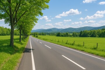 Fototapeta premium Countryside roadside scene in a northern island region
