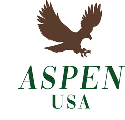 Obraz premium Eagle usa wild aspen california wreaf birds American hawk adventure vintage Varsity College Trending Graphic Tee t-shirt logo slogan artwork typography tote badge emblem crest biker green brown 