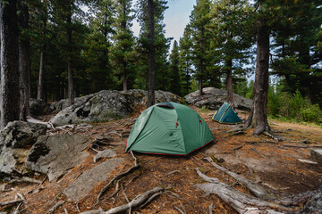 Tranquil forest camping scene with tents among pine trees and rocky terrain, hike travel outdoors...