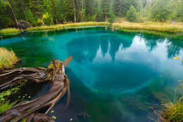 Blue geyser lake surrounded by forest Aktash mountains, Landscape Altay