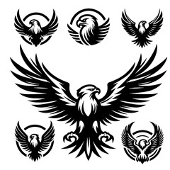 Fototapeta premium eagle with wings