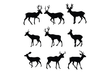 Fototapeta premium Stylized Stag Head Drawing
