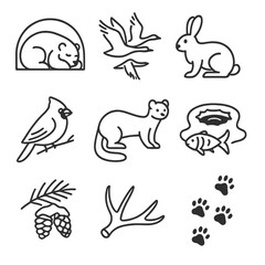 Winter Wildlife Icons. Line style icons of Winter Wildlife Survival: hibernating bear den, migrating geese, snowshoe hare, red