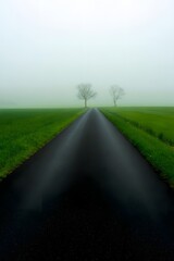 Foggy road landscape with trees and green fields scenic route misty weather driving