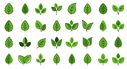Nature's Symphony of Greenery: A vibrant collection of meticulously crafted leaf illustrations, showcasing the diverse forms and textures of nature's exquisite botanical art.