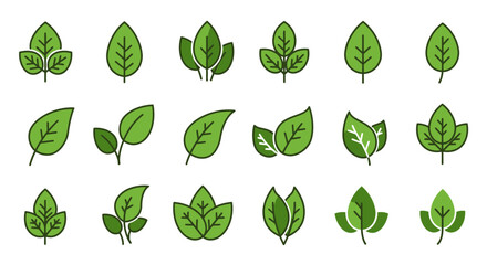 Leaf Collection Illustration: An array of stylized green leaf icons, showcasing various shapes and forms, perfect for illustrating nature and environmental themes.