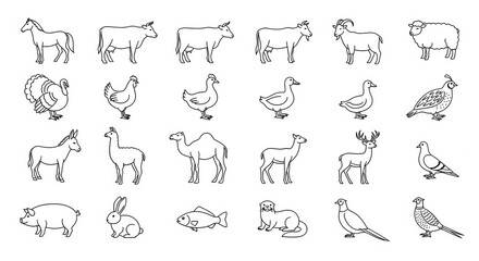Farm and wild animals line art collection