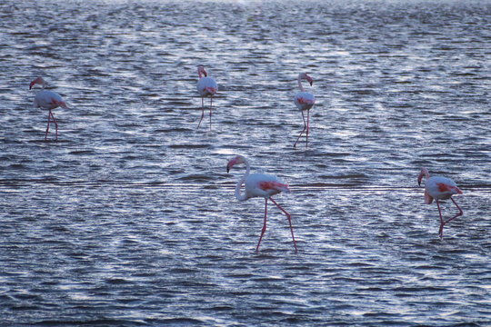 Landscape of Calblanque Beach, Cartagena (Spain)