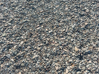 Smooth pebble beach with natural stones and people relaxing by the sea on a sunny day, showing textures of round rocks, hand holding stone and coastal landscape