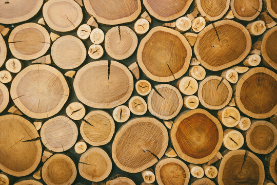 background of round timber logs cross-section