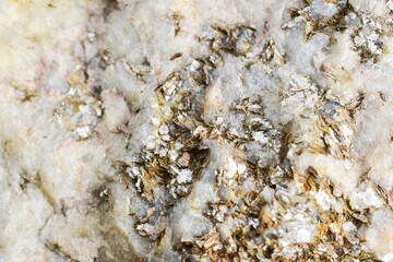 Stone texture