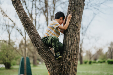 A young boy enjoys climbing a tree in a sunny park, engaging in outdoor play surrounded by...