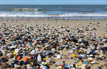 Plastic Pollution on the Beach