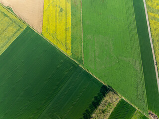 Aerial view of vibrant green and yellow fields intersected by narrow paths, creating a patchwork of agricultural land in Wittenheim, Grand Est, France.