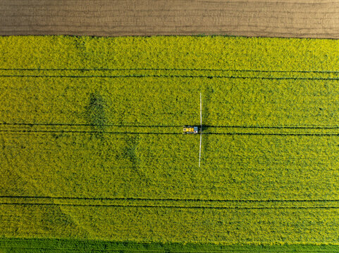 Aerial view of a tractor spraying a bright yellow field, creating a striking contrast with the surrounding fields in Wittenheim, Grand Est, France.