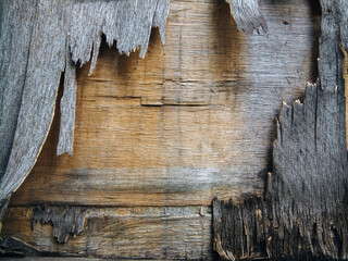Texture of old heavily cracked plywood. Concept of short-lived materials and improper wood care....