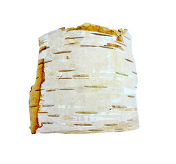 Birch bark texture, piece of birch bark, on white background.