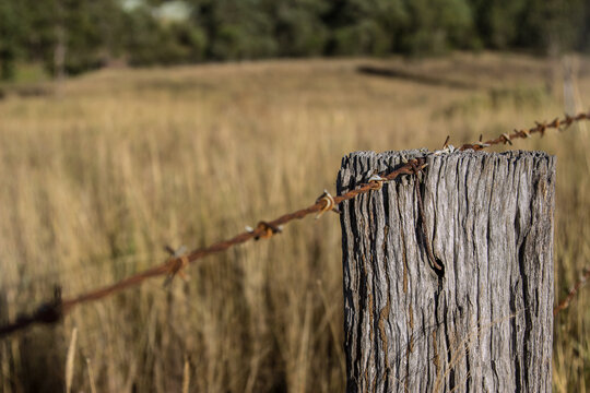 Wooden paddock fence post with barbed wire on top