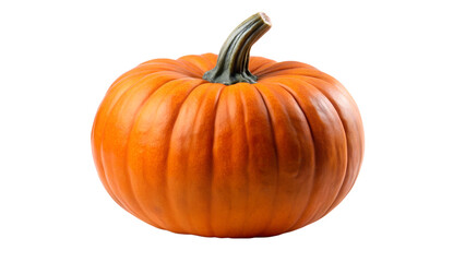 orange pumpkin isolated on white