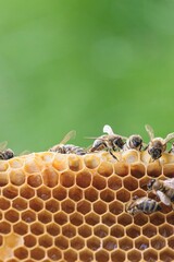 Amidst a surreal backdrop of vibrant colors, bees meticulously gather nectar from dazzling flowers,...
