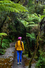 girl hiker walking along trail to Lake Matheson, admiring lush green vegetation and dense...