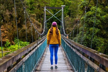 girl hiker walking on suspension bridge along trail to Lake Matheson, admiring lush green...