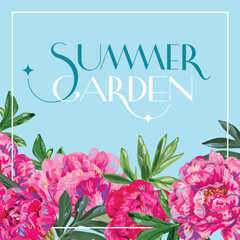 Pink peonies on a blue background design template, summer mood in the garden