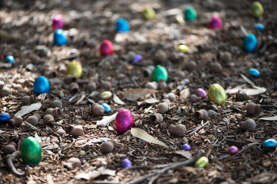multi coloured easter eggs with gumnuts