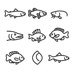 Freshwater Fish Icons. Line style icons of Freshwater Fish Species: trout silhouette, bass profile, catfish barbels, pike head,