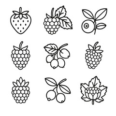 Woodland Berry Icons. Line style icons of Woodland Berry Medley: wild strawberry, wild raspberry, wild blueberry, wild blackberry,