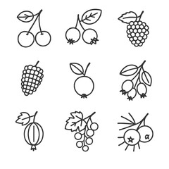 Urban Wild Fruit Icons. Line style icons of Urban Wild Fruits: crabapple, hawthorn berry, blackberry, mulberry, cherry plum,