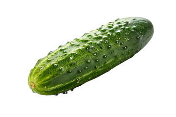 Fresh Whole Cucumber with Green Skin Isolated on White Background