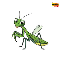praying mantis vector illustration
