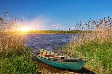Obraz premium Old green wooden boat on the lake shore among reeds on a sunny day.